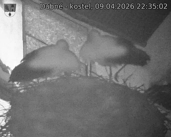 Capi_Dubne_20260409_223502.jpg (1350&nbsp;x&nbsp;1080)