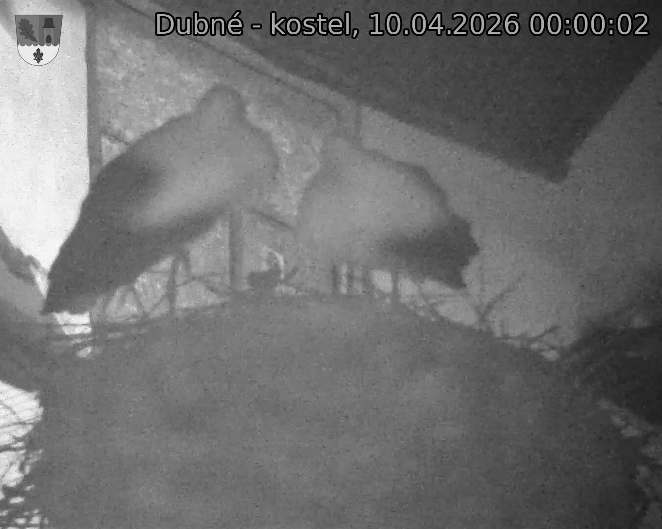Capi_Dubne_20260410_000002.jpg (1350&nbsp;x&nbsp;1080)