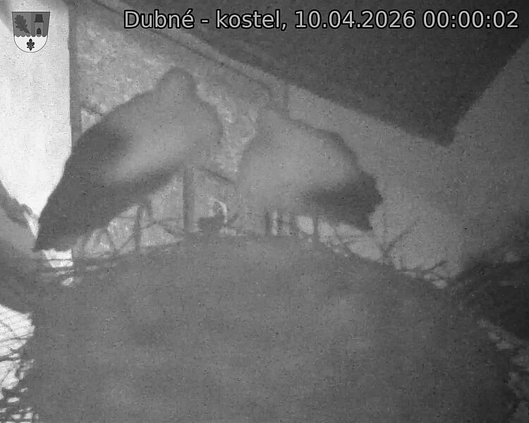 Capi_Dubne_20260410_000002.jpg (1350&nbsp;x&nbsp;1080)