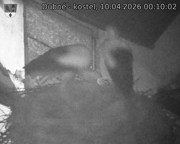 Capi_Dubne_20260410_001002.jpg (1350&nbsp;x&nbsp;1080)