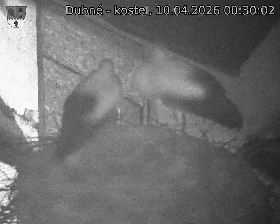 Capi_Dubne_20260410_003002.jpg (1350&nbsp;x&nbsp;1080)