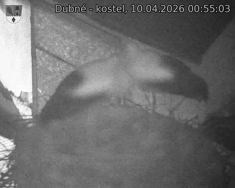 Capi_Dubne_20260410_005503.jpg (1350&nbsp;x&nbsp;1080)