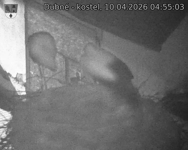 Capi_Dubne_20260410_045503.jpg (1350&nbsp;x&nbsp;1080)
