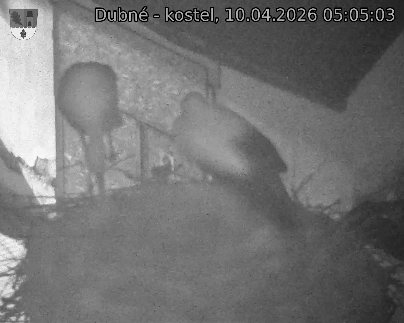 Capi_Dubne_20260410_050503.jpg (1350&nbsp;x&nbsp;1080)