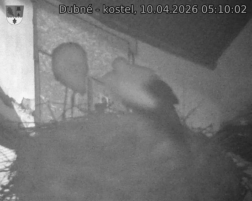 Capi_Dubne_20260410_051002.jpg (1350&nbsp;x&nbsp;1080)