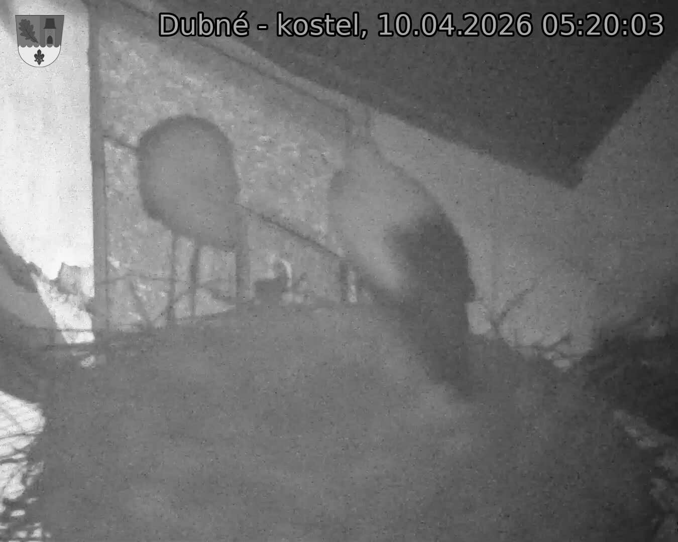 Capi_Dubne_20260410_052003.jpg (1350&nbsp;x&nbsp;1080)