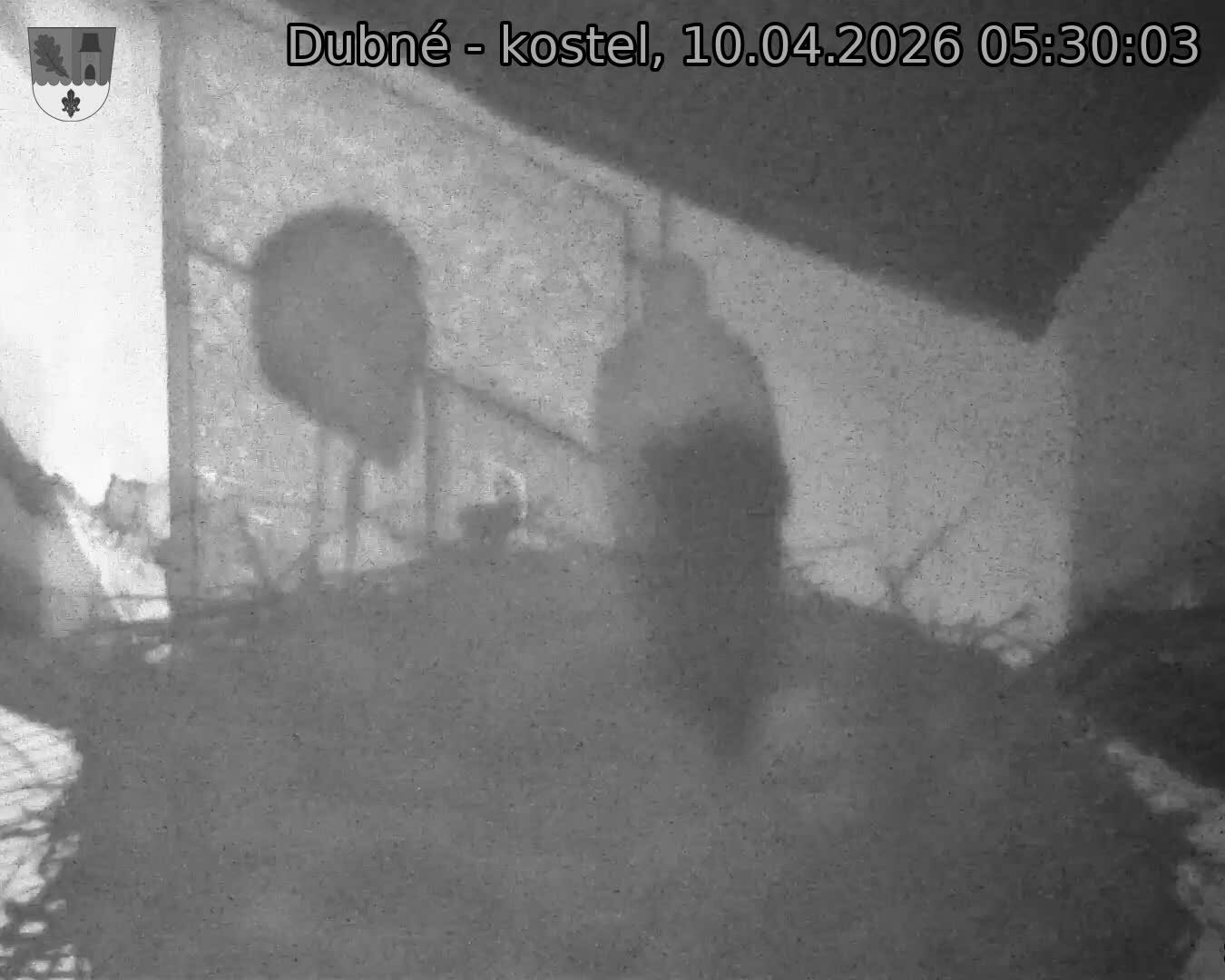 Capi_Dubne_20260410_053003.jpg (1350&nbsp;x&nbsp;1080)