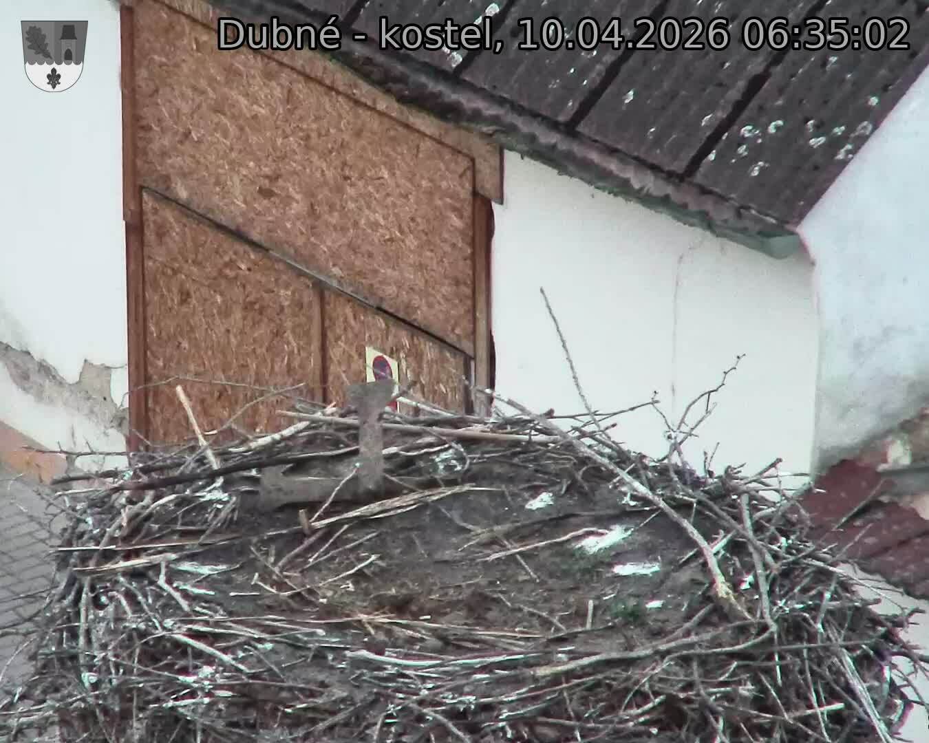 Capi_Dubne_20260410_063502.jpg (1350&nbsp;x&nbsp;1080)
