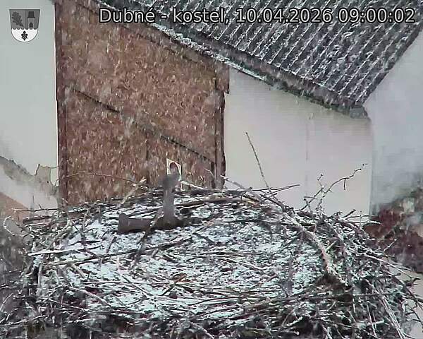 Capi_Dubne_20260410_090002.jpg (1350&nbsp;x&nbsp;1080)