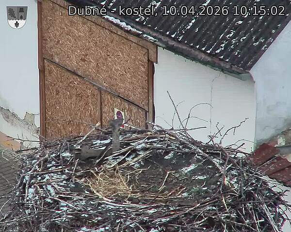 Capi_Dubne_20260410_101502.jpg (1350&nbsp;x&nbsp;1080)