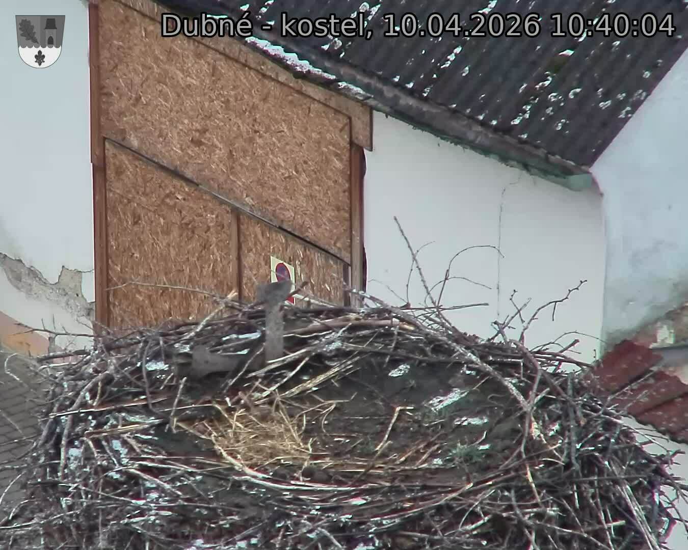 Capi_Dubne_20260410_104004.jpg (1350&nbsp;x&nbsp;1080)