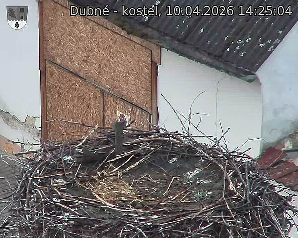 Capi_Dubne_20260410_142504.jpg (1350&nbsp;x&nbsp;1080)