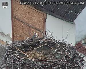 Capi_Dubne_20260410_144504.jpg (1350&nbsp;x&nbsp;1080)