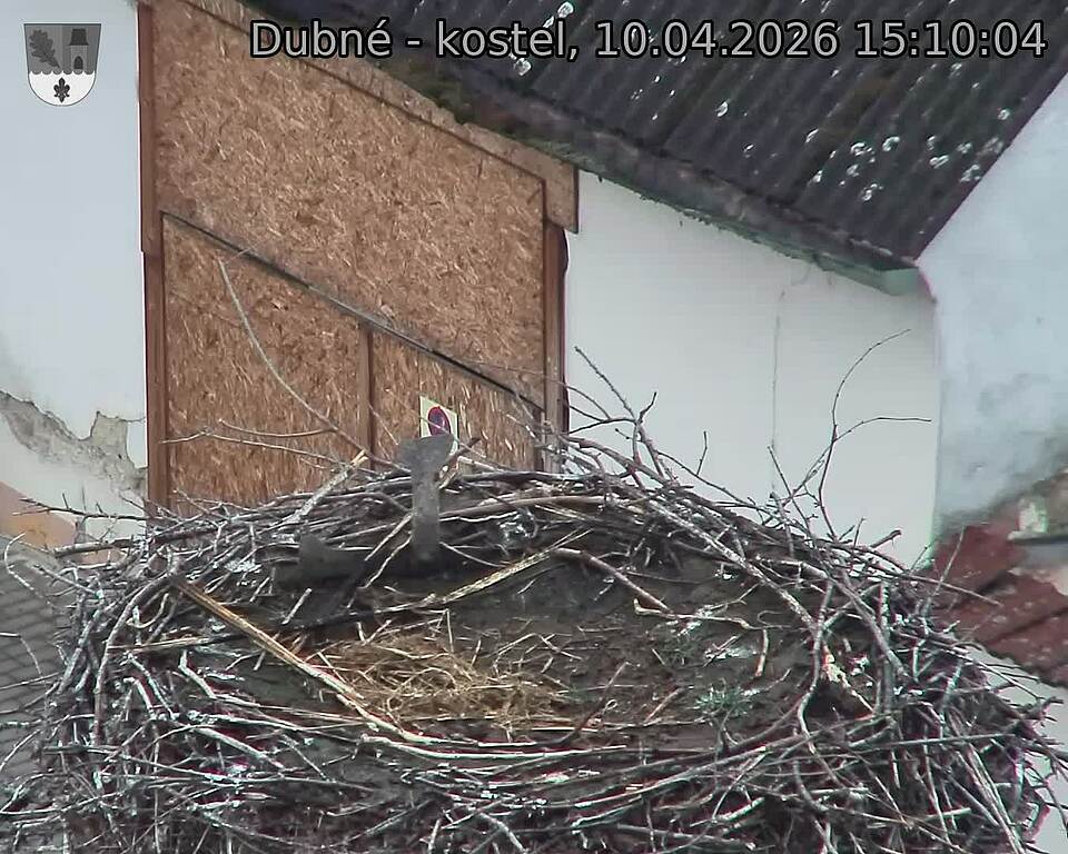 Capi_Dubne_20260410_151004.jpg (1350&nbsp;x&nbsp;1080)