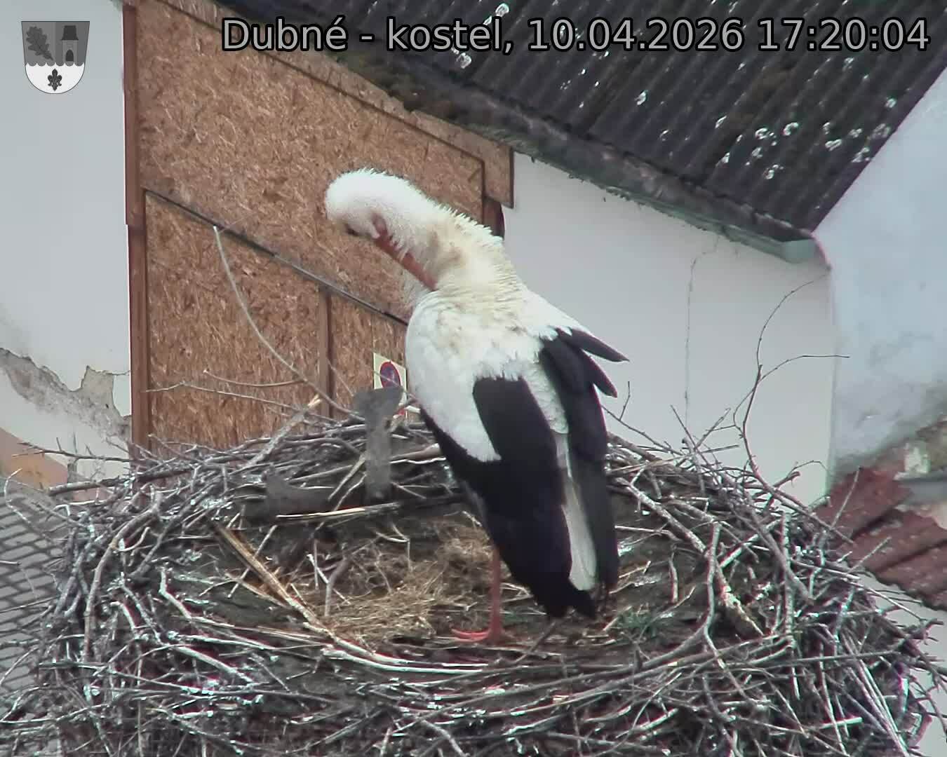 Capi_Dubne_20260410_172004.jpg (1350&nbsp;x&nbsp;1080)