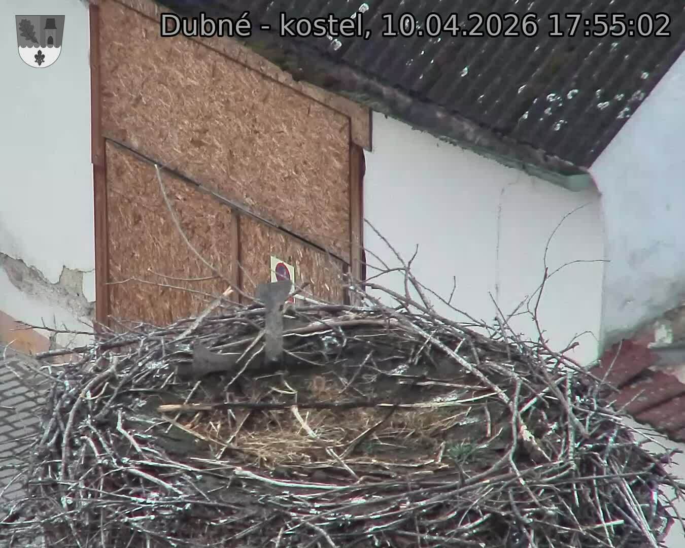 Capi_Dubne_20260410_175502.jpg (1350&nbsp;x&nbsp;1080)