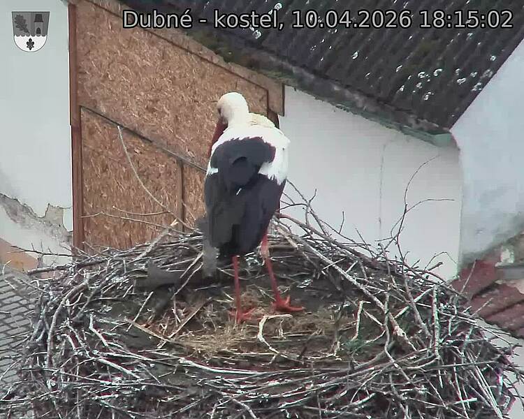 Capi_Dubne_20260410_181502.jpg (1350&nbsp;x&nbsp;1080)