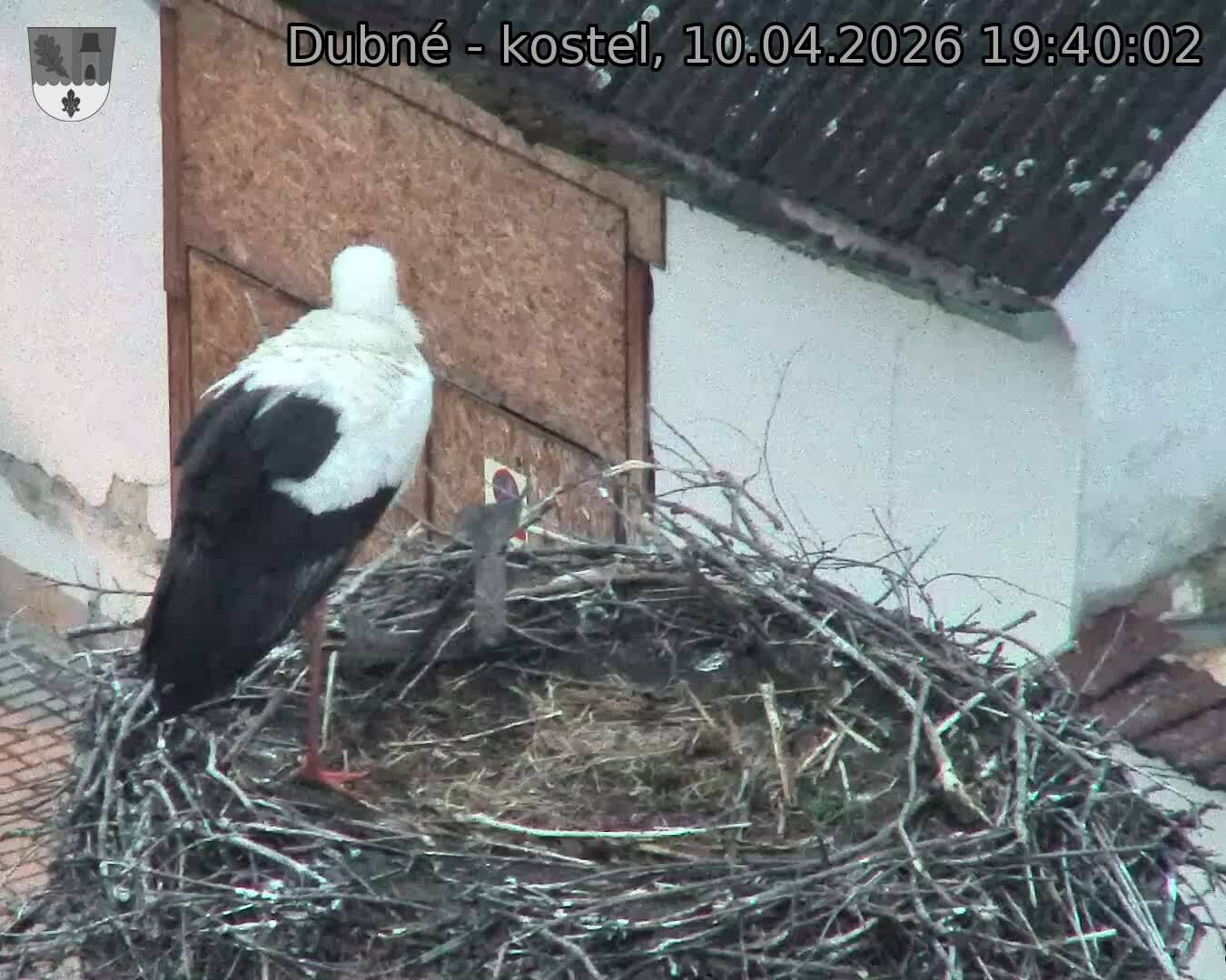 Capi_Dubne_20260410_194002.jpg (1350&nbsp;x&nbsp;1080)