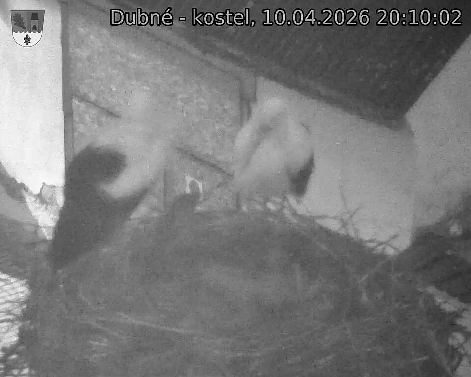 Capi_Dubne_20260410_201002.jpg (1350&nbsp;x&nbsp;1080)