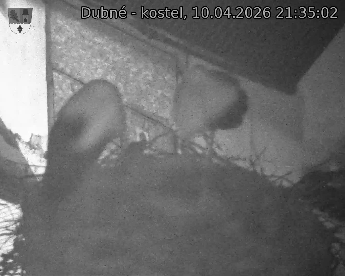 Capi_Dubne_20260410_213502.jpg (1350&nbsp;x&nbsp;1080)