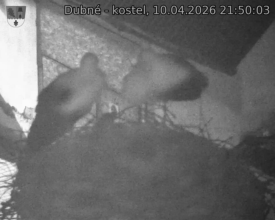 Capi_Dubne_20260410_215003.jpg (1350&nbsp;x&nbsp;1080)