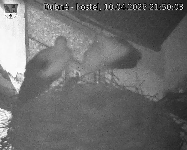 Capi_Dubne_20260410_215003.jpg (1350&nbsp;x&nbsp;1080)