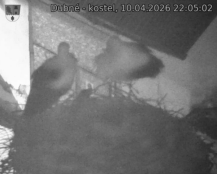 Capi_Dubne_20260410_220502.jpg (1350&nbsp;x&nbsp;1080)