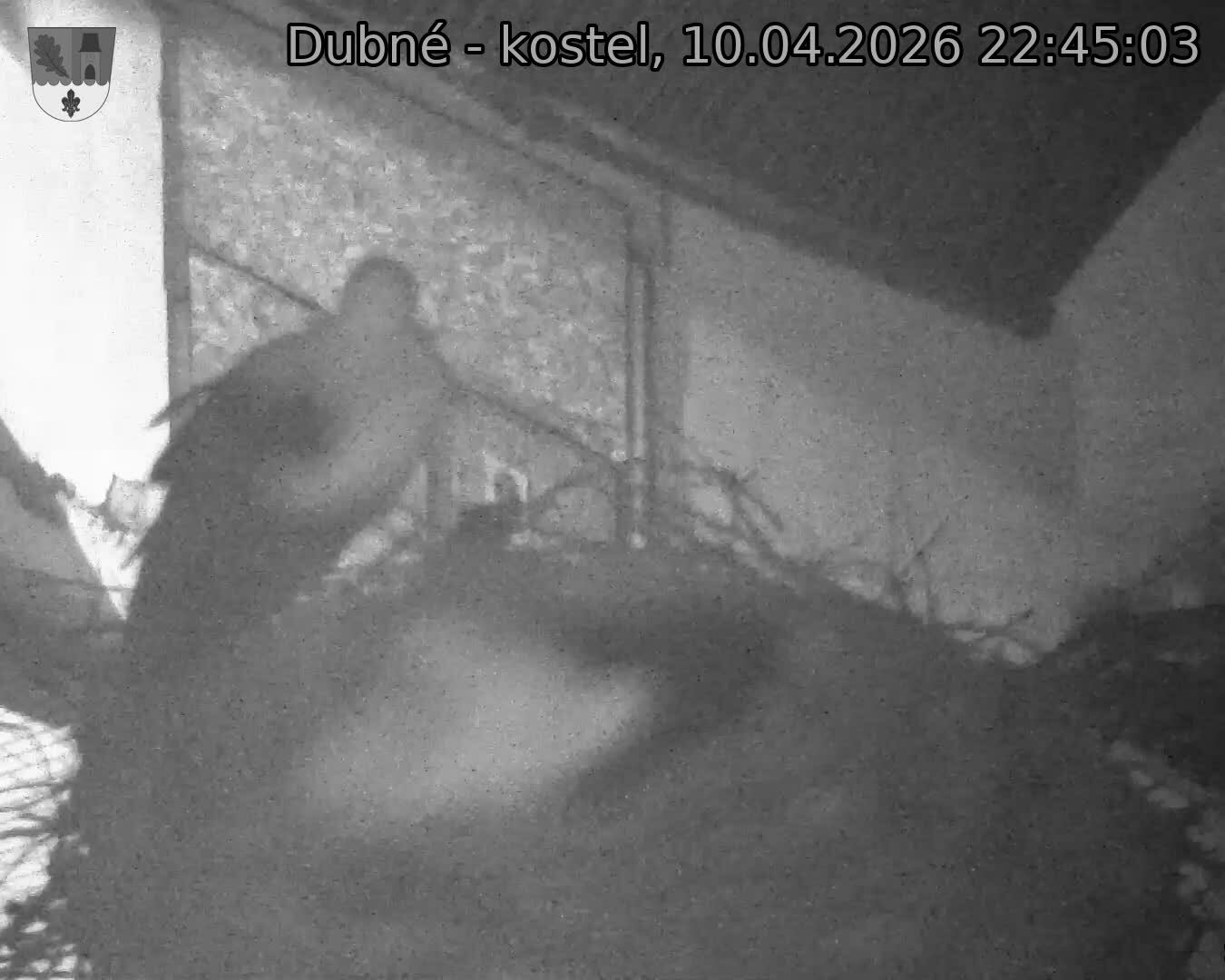 Capi_Dubne_20260410_224503.jpg (1350&nbsp;x&nbsp;1080)