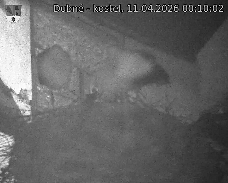 Capi_Dubne_20260411_001002.jpg (1350&nbsp;x&nbsp;1080)