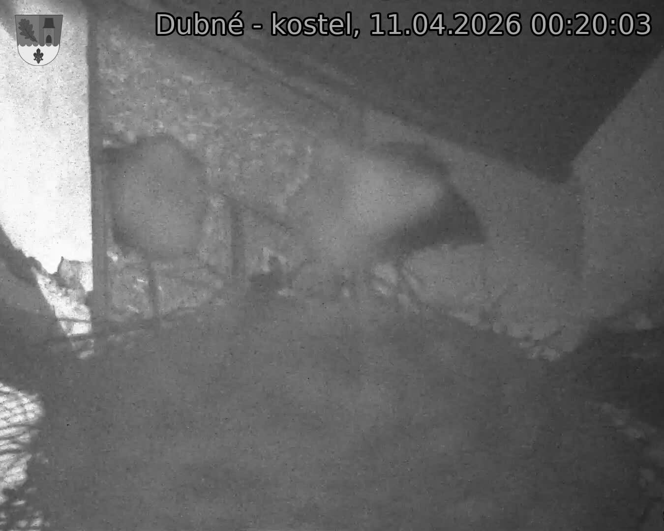 Capi_Dubne_20260411_002003.jpg (1350&nbsp;x&nbsp;1080)