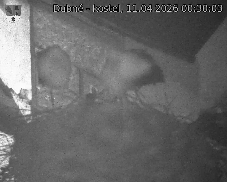 Capi_Dubne_20260411_003003.jpg (1350&nbsp;x&nbsp;1080)