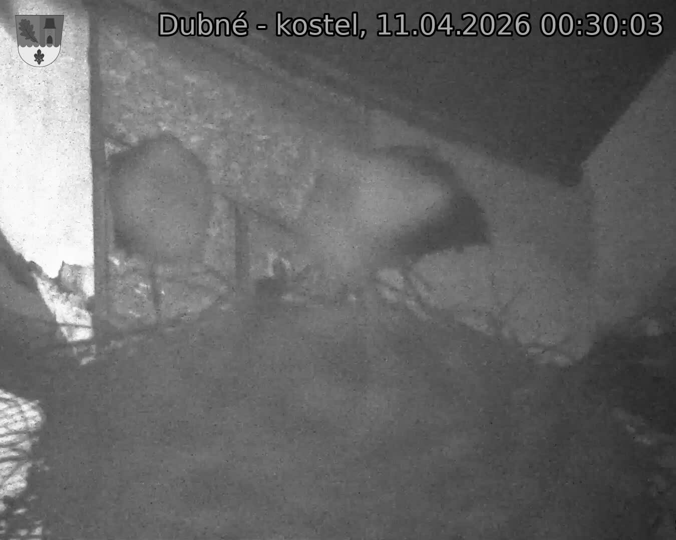 Capi_Dubne_20260411_003003.jpg (1350&nbsp;x&nbsp;1080)