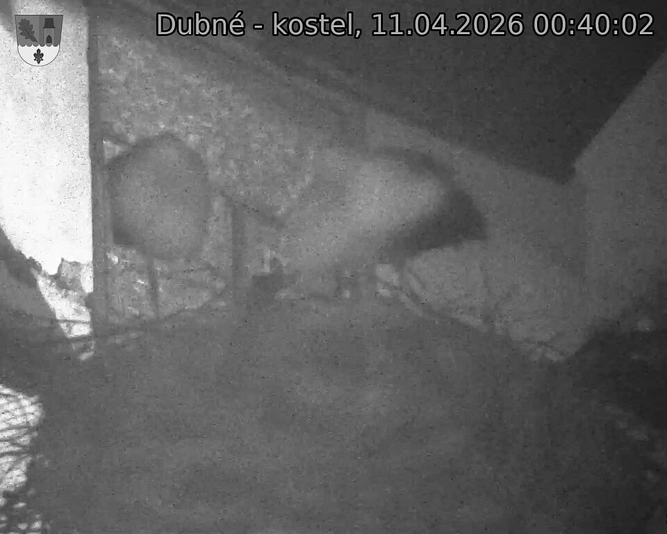 Capi_Dubne_20260411_004003.jpg (1350&nbsp;x&nbsp;1080)