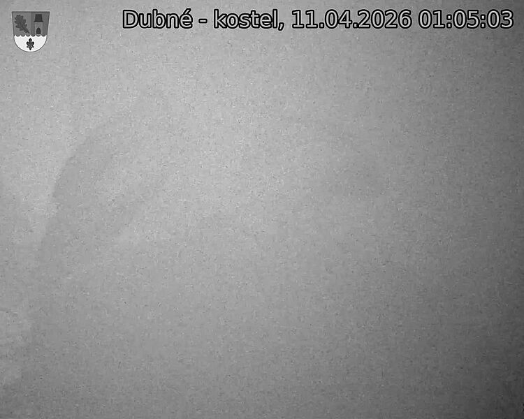 Capi_Dubne_20260411_010503.jpg (1350&nbsp;x&nbsp;1080)