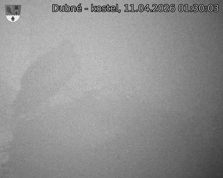 Capi_Dubne_20260411_013003.jpg (1350&nbsp;x&nbsp;1080)