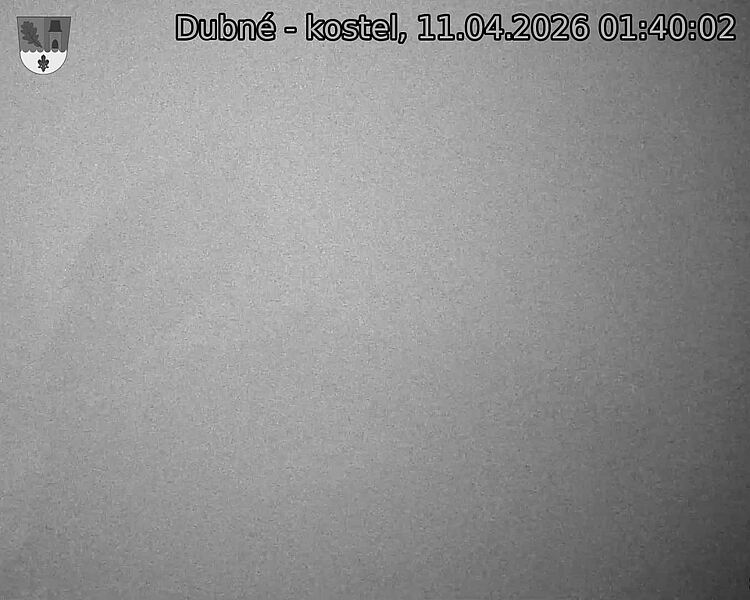 Capi_Dubne_20260411_014002.jpg (1350&nbsp;x&nbsp;1080)