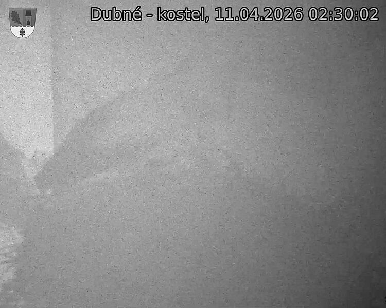 Capi_Dubne_20260411_023002.jpg (1350&nbsp;x&nbsp;1080)
