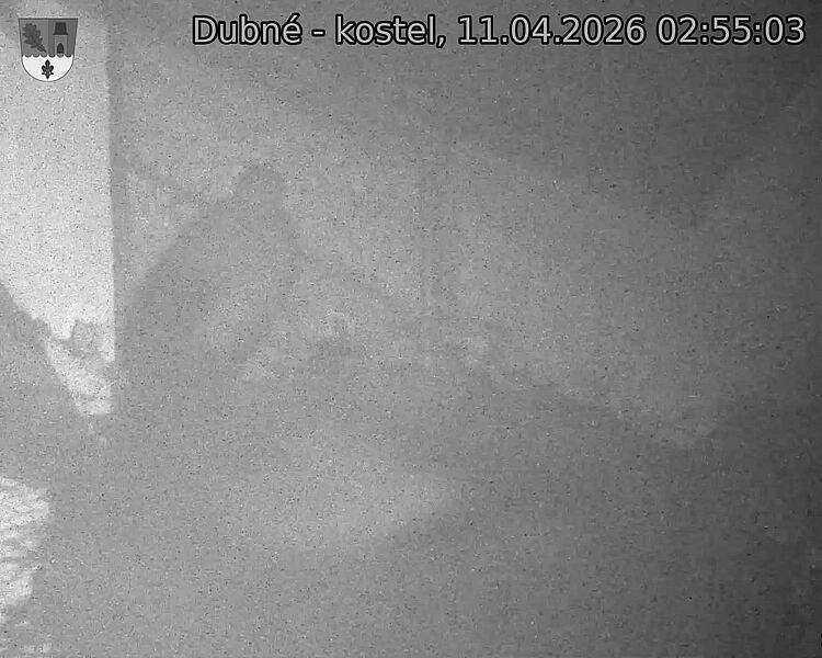 Capi_Dubne_20260411_025503.jpg (1350&nbsp;x&nbsp;1080)