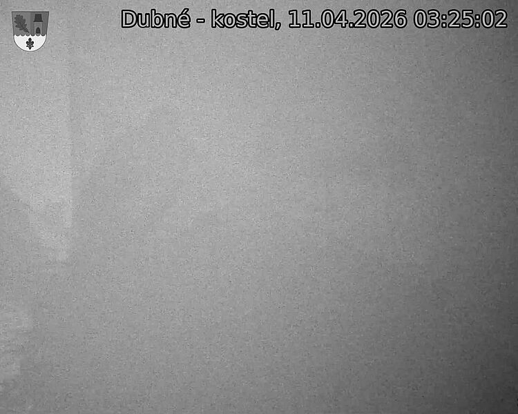 Capi_Dubne_20260411_032502.jpg (1350&nbsp;x&nbsp;1080)