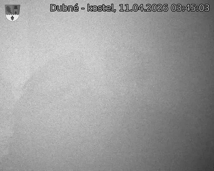 Capi_Dubne_20260411_034503.jpg (1350&nbsp;x&nbsp;1080)