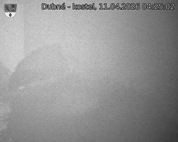 Capi_Dubne_20260411_042502.jpg (1350&nbsp;x&nbsp;1080)