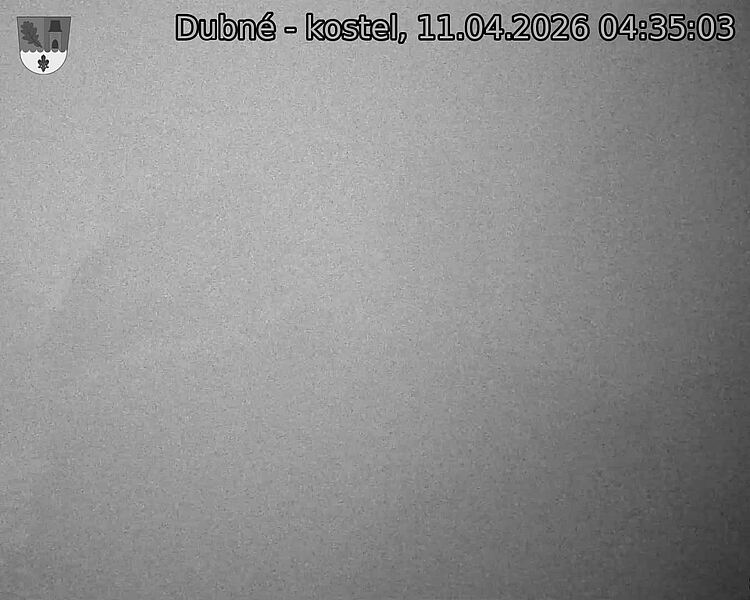 Capi_Dubne_20260411_043503.jpg (1350&nbsp;x&nbsp;1080)