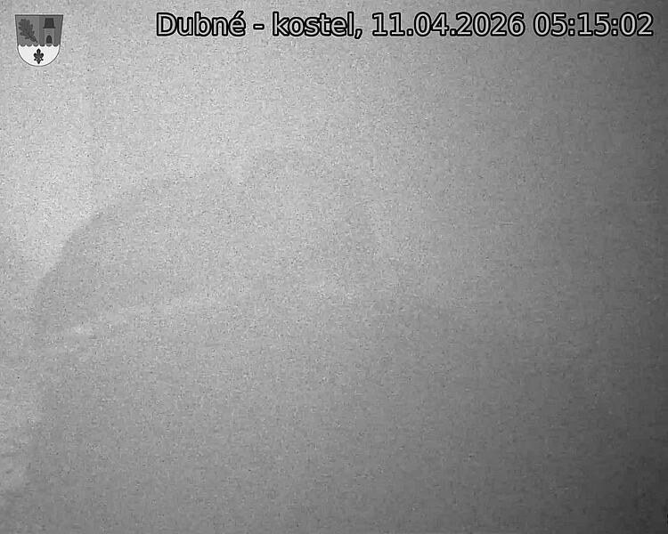 Capi_Dubne_20260411_051502.jpg (1350&nbsp;x&nbsp;1080)