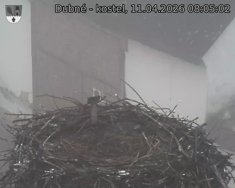 Capi_Dubne_20260411_080502.jpg (1350&nbsp;x&nbsp;1080)