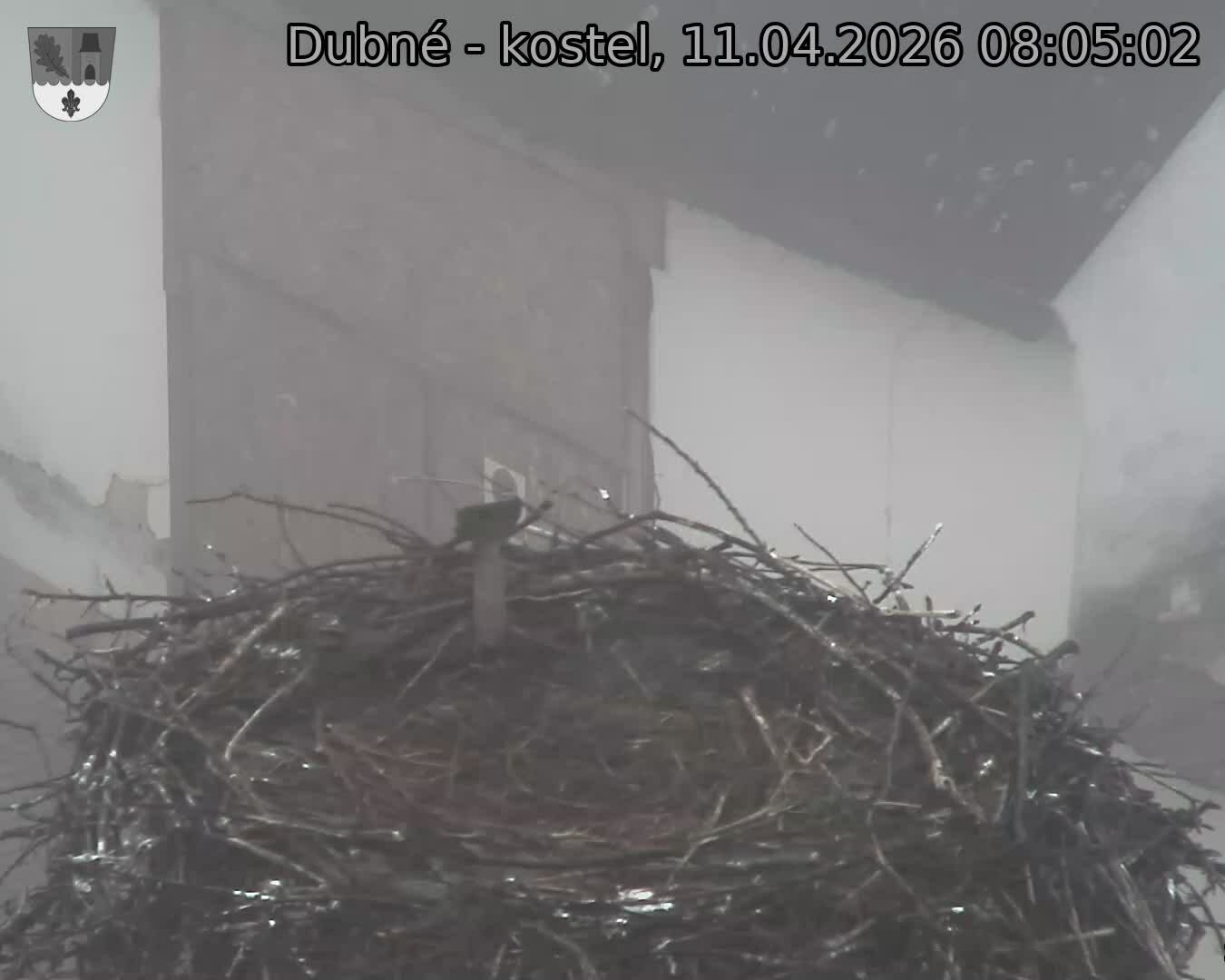 Capi_Dubne_20260411_080502.jpg (1350&nbsp;x&nbsp;1080)