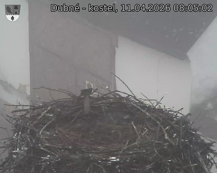 Capi_Dubne_20260411_080502.jpg (1350&nbsp;x&nbsp;1080)