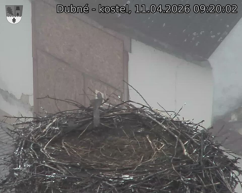 Capi_Dubne_20260411_092002.jpg (1350&nbsp;x&nbsp;1080)