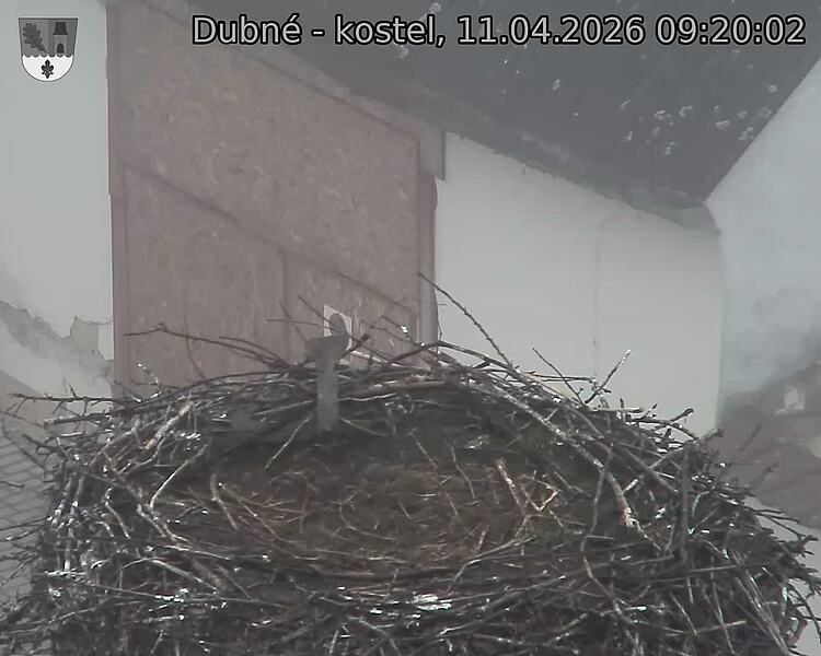 Capi_Dubne_20260411_092002.jpg (1350&nbsp;x&nbsp;1080)