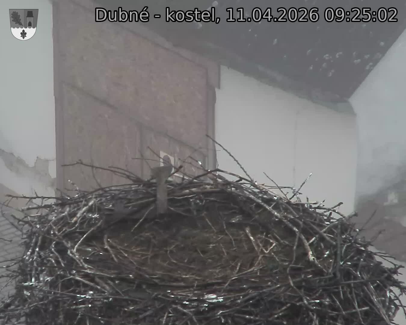 Capi_Dubne_20260411_092502.jpg (1350&nbsp;x&nbsp;1080)