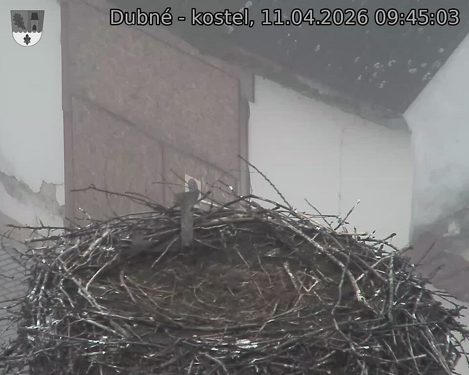 Capi_Dubne_20260411_094503.jpg (1350&nbsp;x&nbsp;1080)